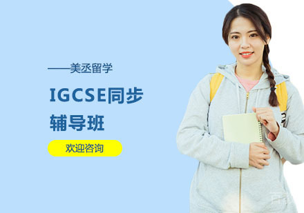 IGCSE同步辅导班