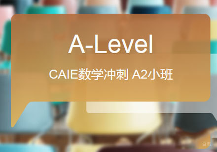 佛山CAIE数学冲刺 A2小班