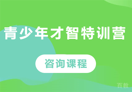 佛山青少年才智特训营培训