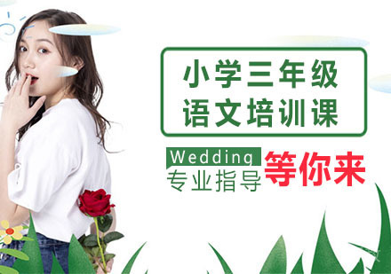 小学三年级语文培训课