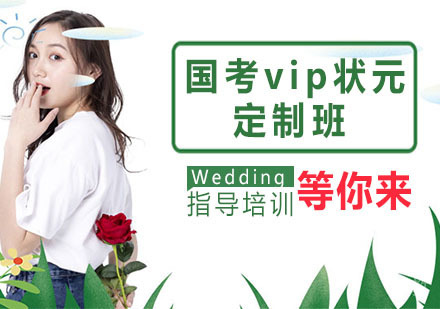 国考vip状元定制班