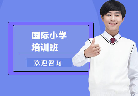 国际小学培训班