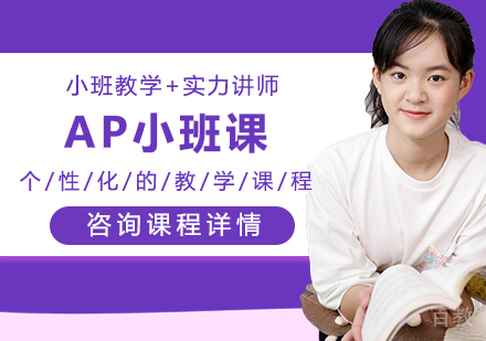 广州AP小班课培训