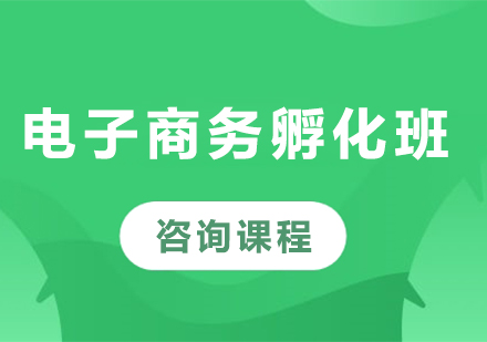 深圳电子商务孵化班课程培训