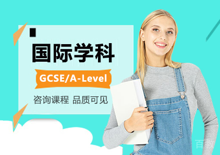 北京国际学科课程培训