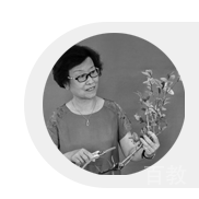 庄老师