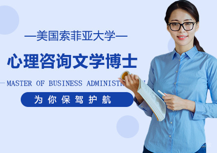 心理咨询文学博士课程