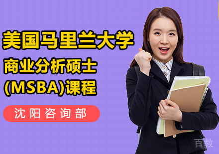 商业分析硕士(MSBA)课程