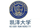 美国凯泽大学沈阳咨询点