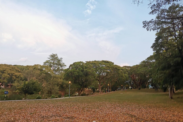 马来西亚理科大学校内公园