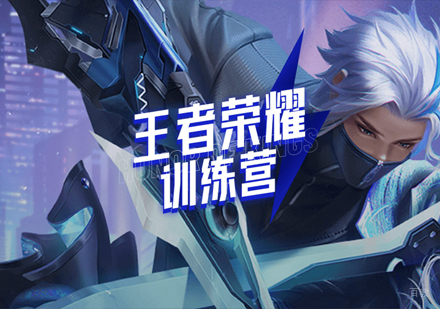 王者荣耀训练营