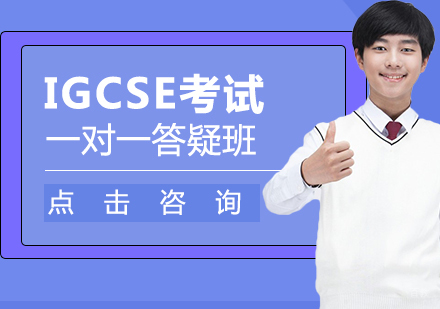 IGCSE一对一答疑班