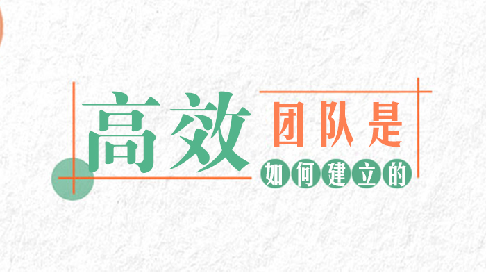 高效团队是如何建立的 