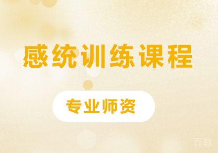 北京感统训练课程培训
