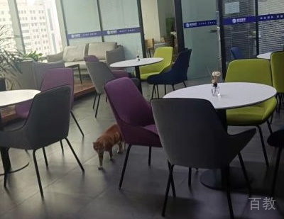 郑州彼洋留学校区授课教室环境展示