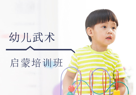 幼儿武术启蒙培训班