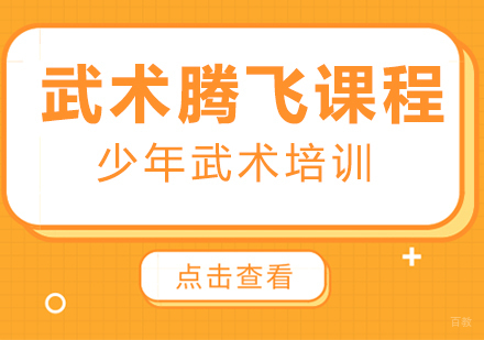 少年武术腾飞课程