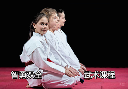 智勇双全武术课程