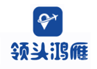长沙领头鸿雁无人机