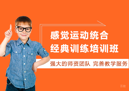 广州感觉运动统合经典训练培训班