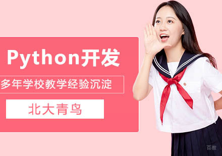 python开发