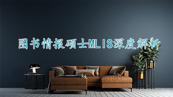 图书情报硕士MLIS深度解析 
