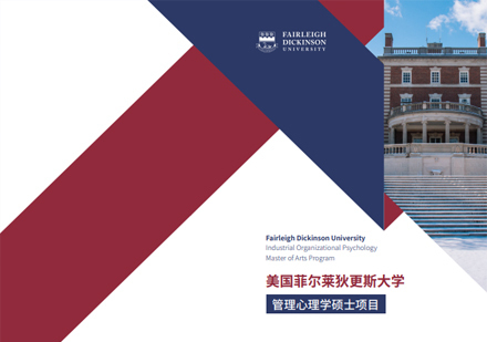 菲尔莱狄更斯大学