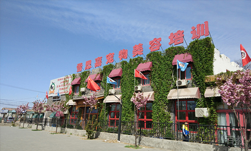 校区环境