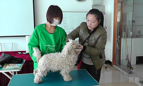 学员风采