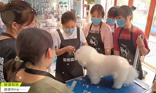 老师指导