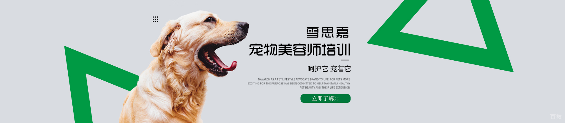 北京雪思嘉宠物培训学校