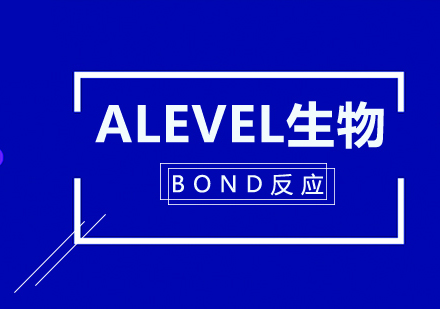 Alevel生物bond反应讲解