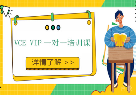 VCE VIP一对一培训课