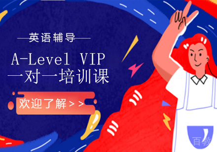 A-Level VIP一对一培训课