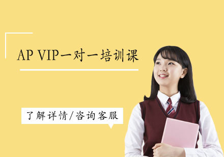 AP VIP一对一培训课