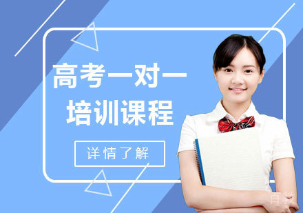 高考一对一培训课程