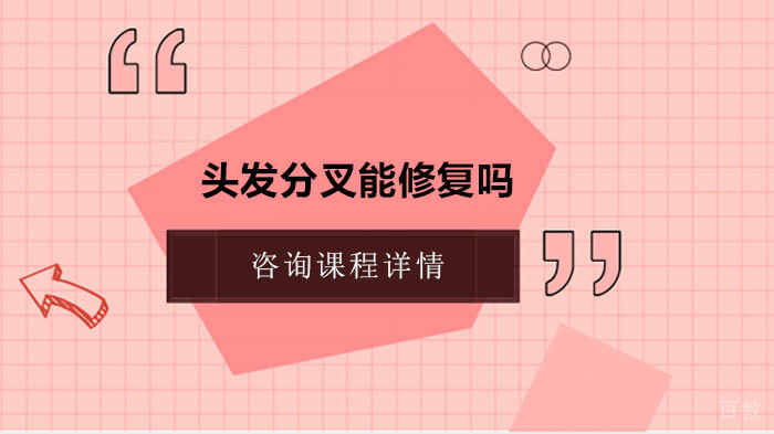头发分叉能修复吗