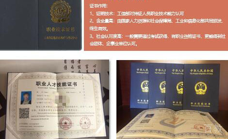 上海乐搏软件测试培训学校毕业证书
