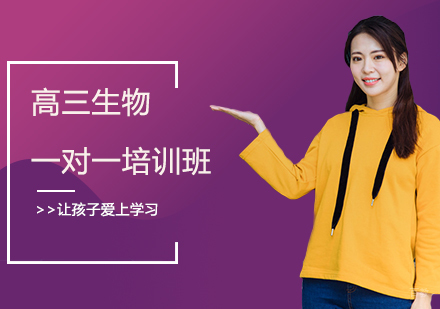 高三生物一对一培训班