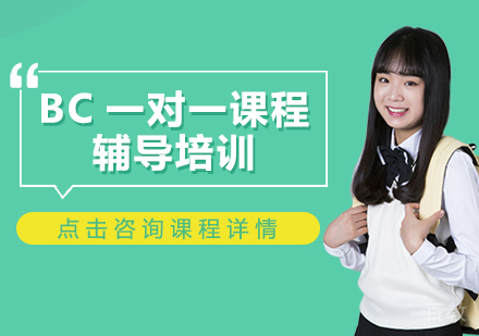 BC一对一课程辅导培训