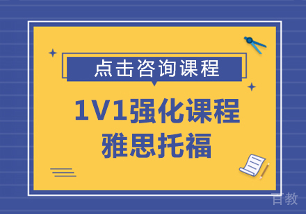 1V1强化课程