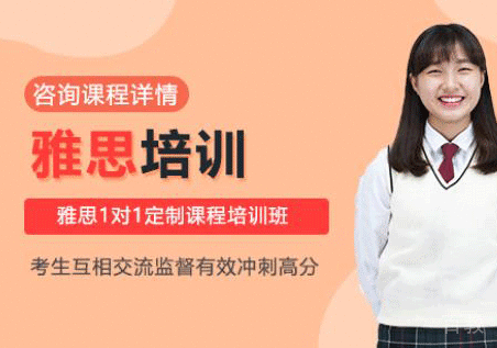 雅思1对定制课程培训班