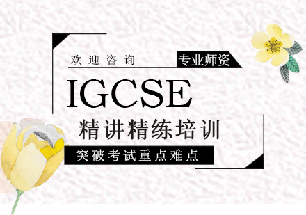 广州IGCSE精讲精练培训班