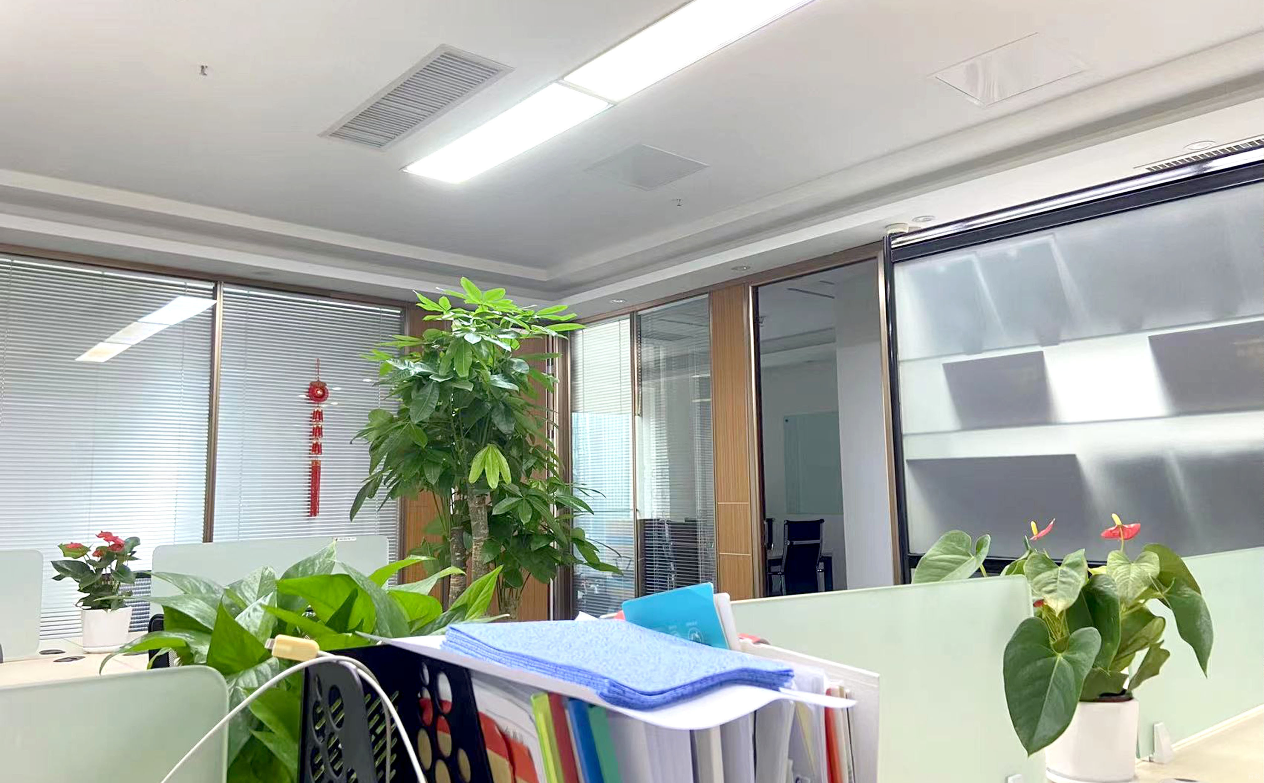 比屋教育环境