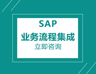 武汉SAP业务流程集成