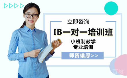 IB一对一培训班