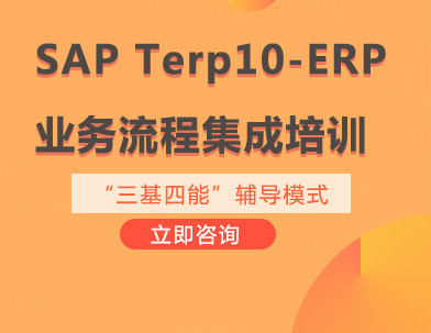 武汉SAP Terp10-ERP业务流程集成培训