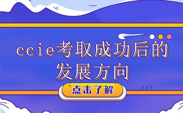 CCIE考取成功后的发展方向-昆明思博IT在线 