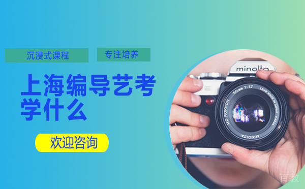上海编导艺考学什么 