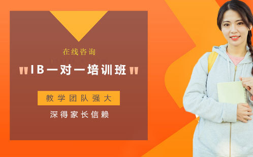 IB一对一培训班